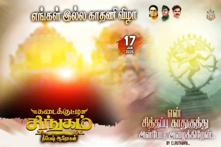 Madurai Style Flex Design Collection
